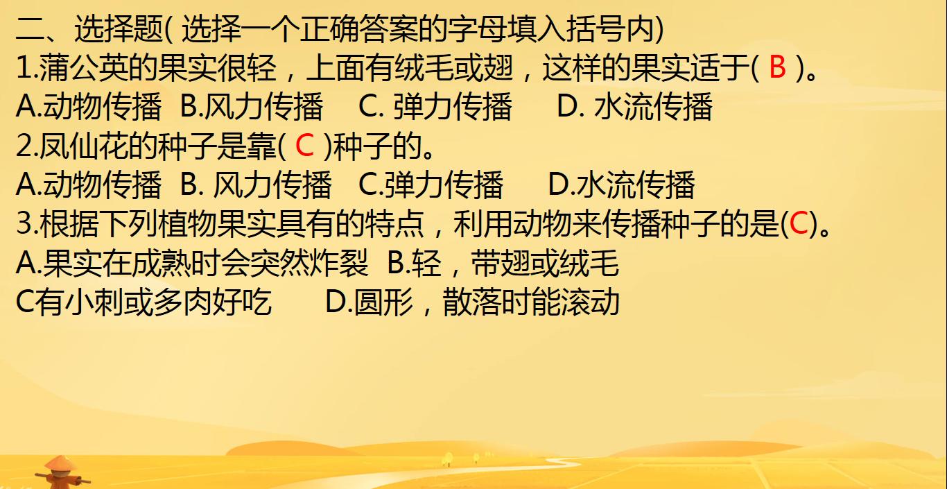 四年级下册科学种子里孕育新生命,教科版科学四年级下册果实和种子