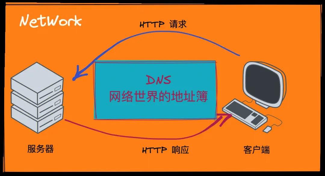 什么原因会导致dns解析异常,一文看懂电脑参数
