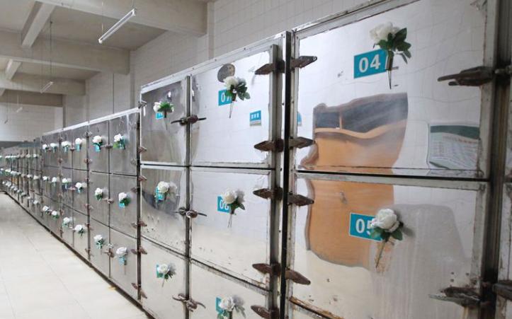 煮人骨，剔腐肉，一年处理50具遗体，直面死亡的人体标本制作师