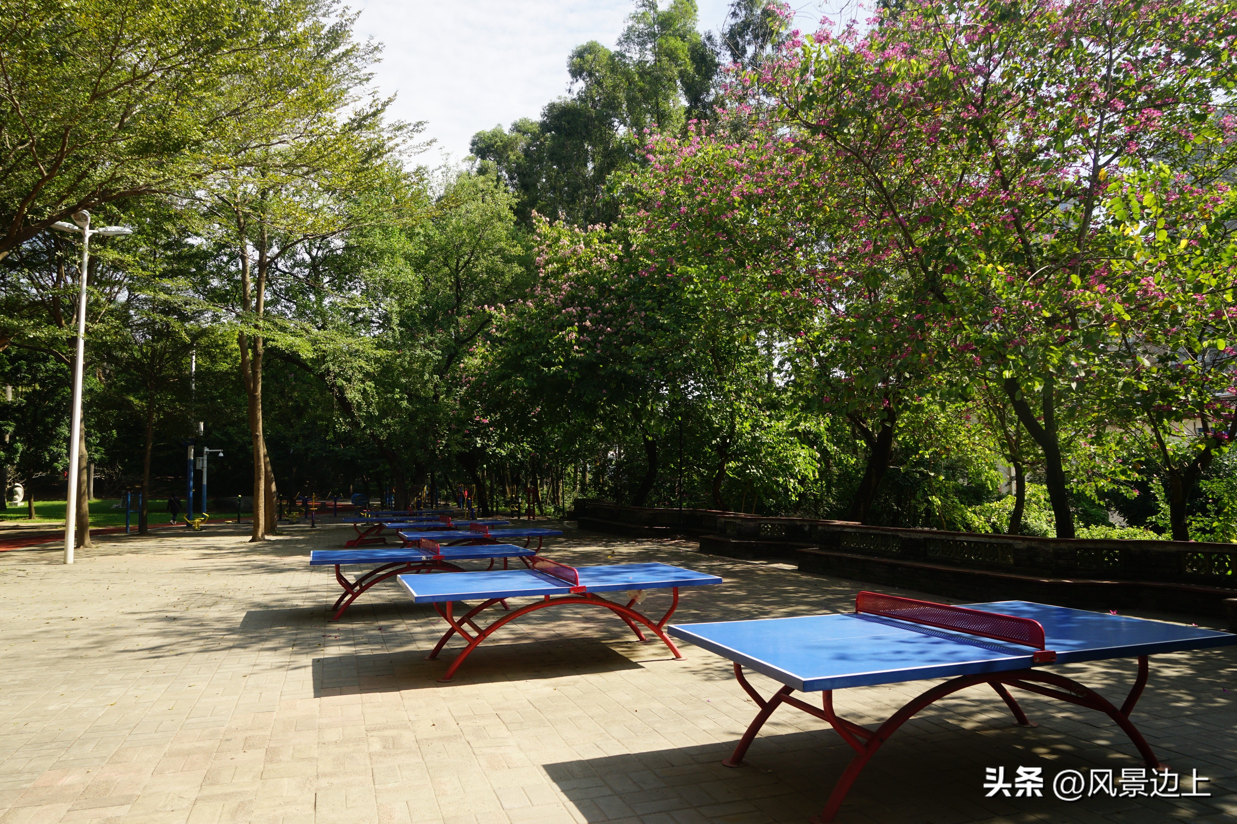 中山沙溪公园灵异事件,中山沙溪公园在哪里