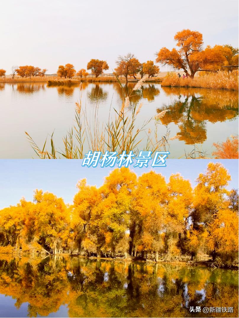 天山号旅游专列怎么玩,坐火车游新疆昆仑号