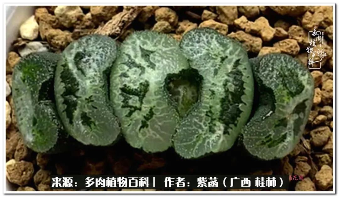 酷暑里的关爱，如十二卷般透亮绵长