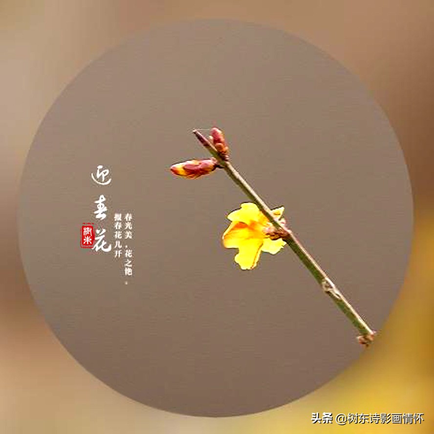 诗词中最美的春天,100句诗词写出最美的春天