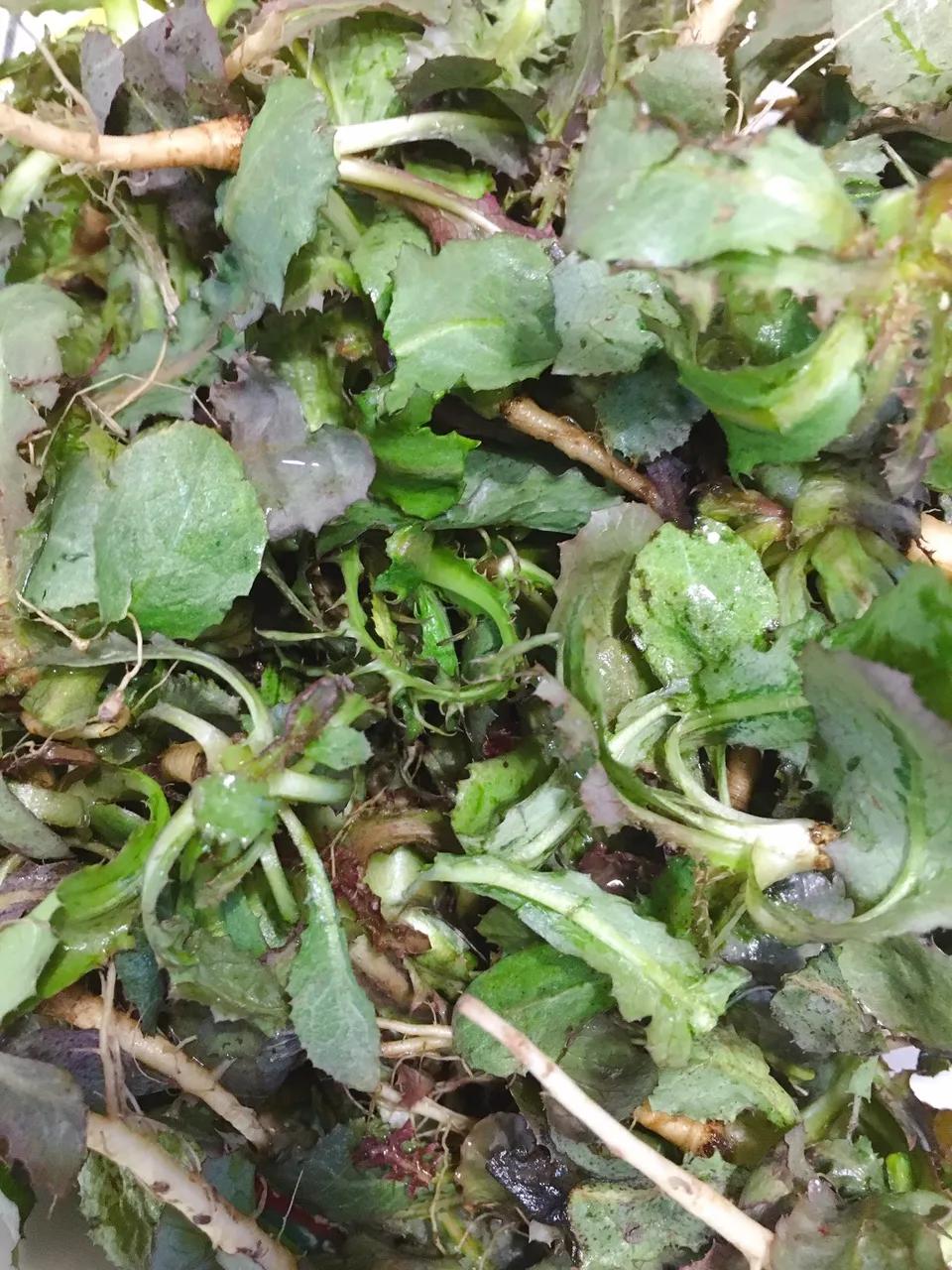 烟台一座承载回忆的城市,烟台一座沿海小城市