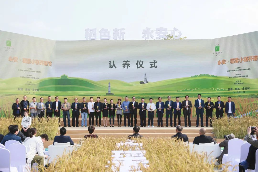 整村运营,整村运营顶层策划