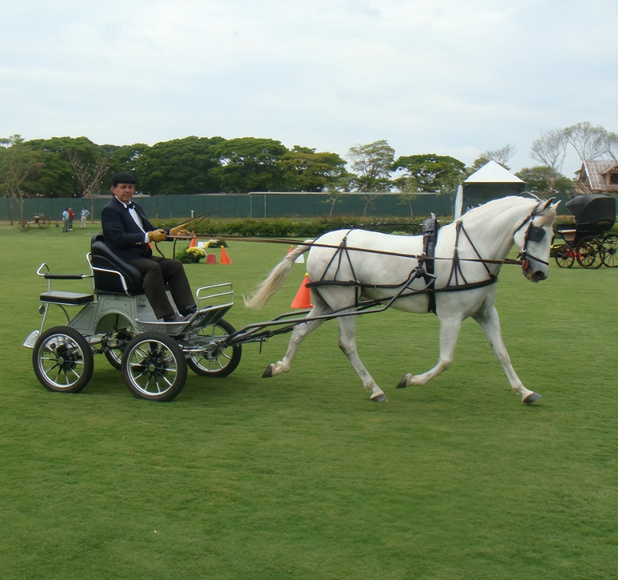 卡拉迪亚的生存之道，马蹄铁的出现，却使小国经济突飞猛进