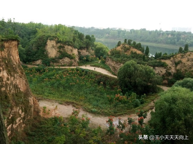 郑州市免费好玩的公园,郑州市区最适合老年人游玩的公园