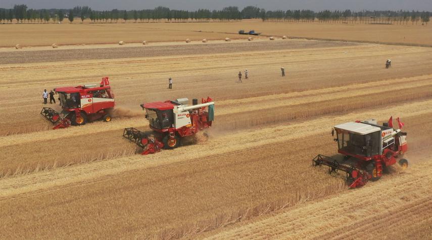 减出亿斤粮！潍柴雷沃以机收减损促颗粒归仓