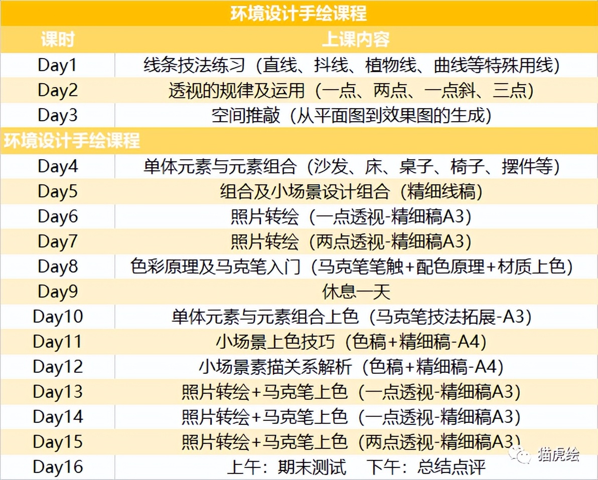 2022猫虎绘暑假手绘班招生简章「线上+线下」