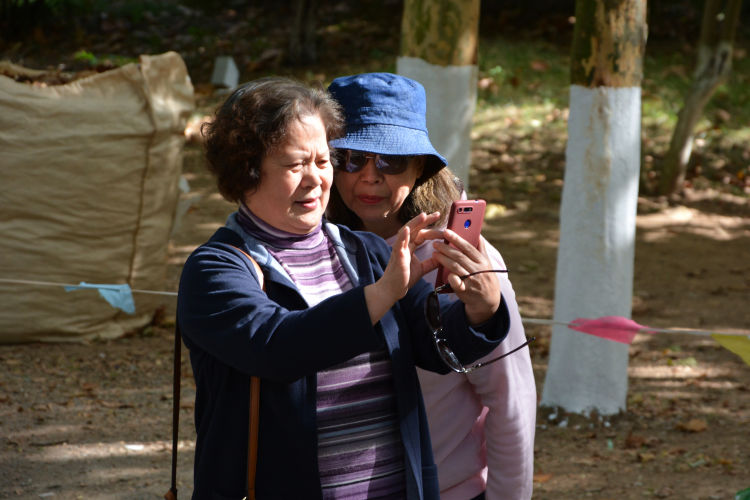 儿子买车公公婆婆不给出钱,儿子买车母亲不愿意出钱