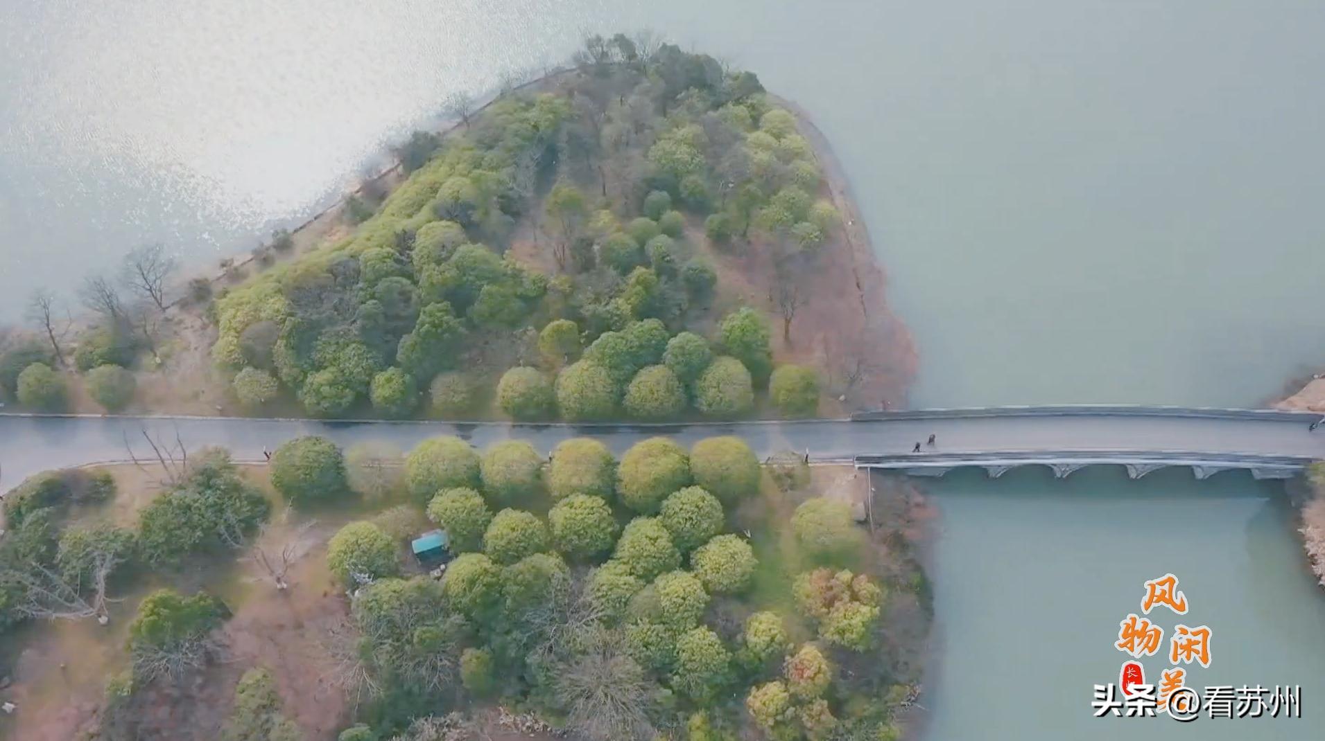 世界环境日，一起守护“地球之肾”！