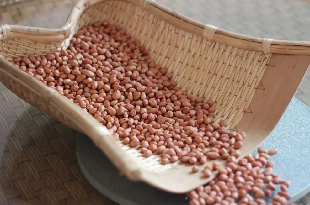 芝麻最早什么时候种,芝麻最早从哪里传入中国