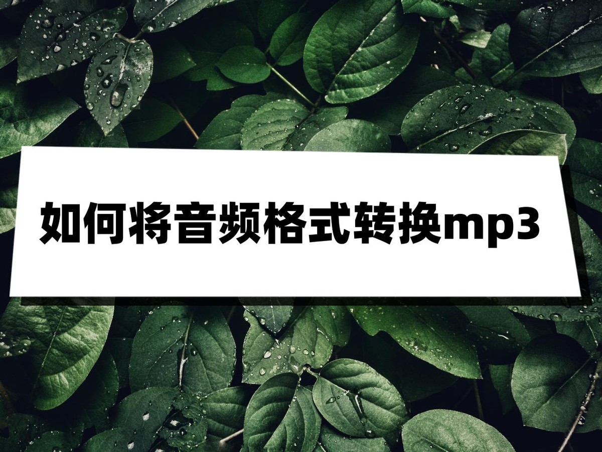 铃声多多音频转换mp3格式,怎样将sd卡转换音频格式mp3