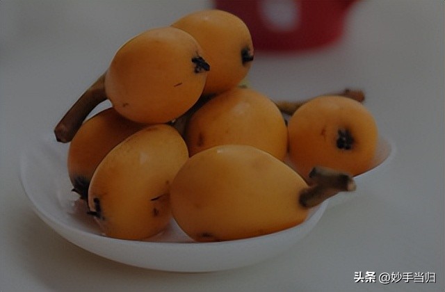 二十四节气白露为什么叫白露,白露节气与中医