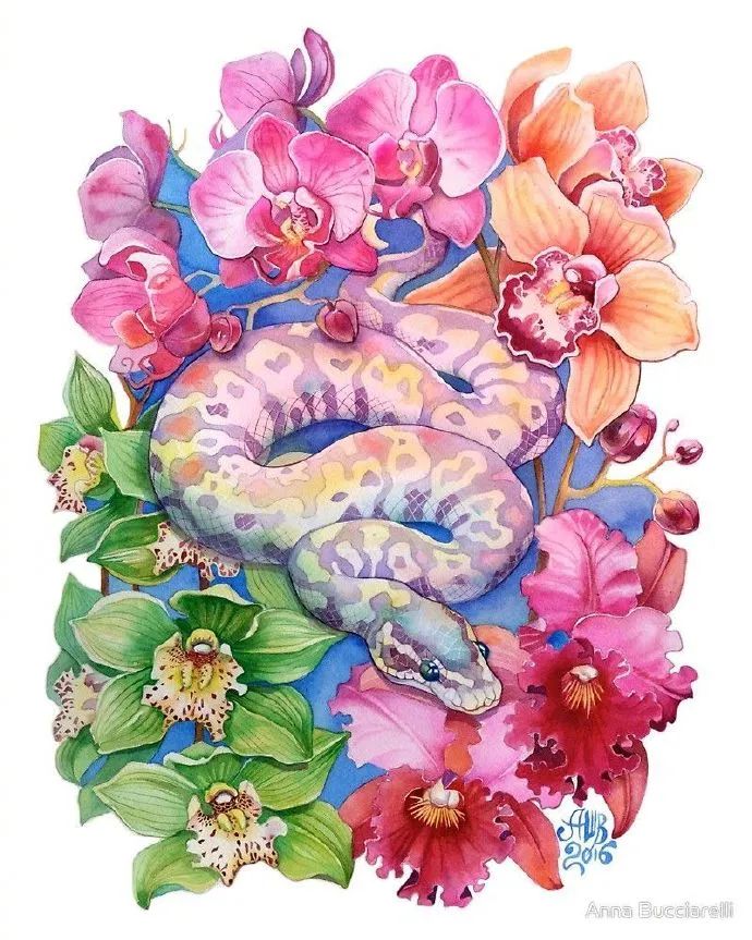 用色大胆的水彩作品,大神级水彩作品看完肯定不后悔