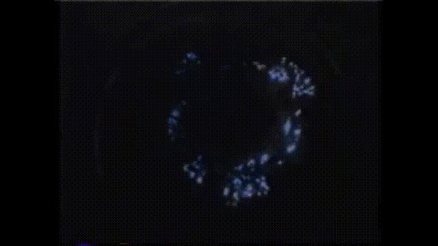 潜入深海寻找宝藏,潜入海底最深处你会发现什么