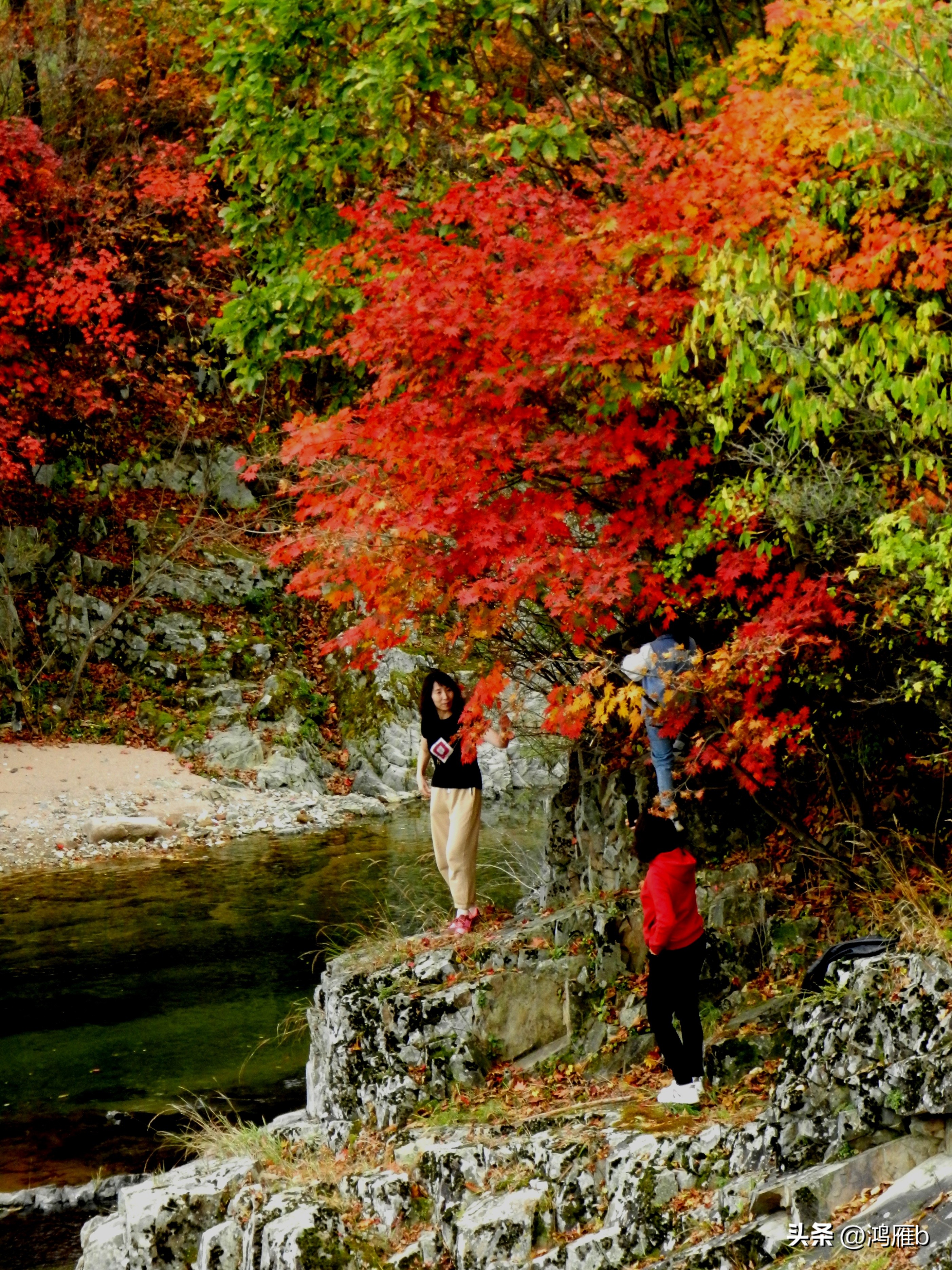 本溪温泉汤沟门票价格,本溪花溪沐枫雪温泉小镇