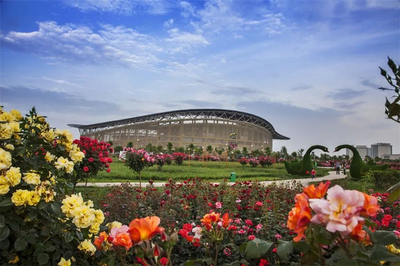 你好,我叫南阳,这是我的简历