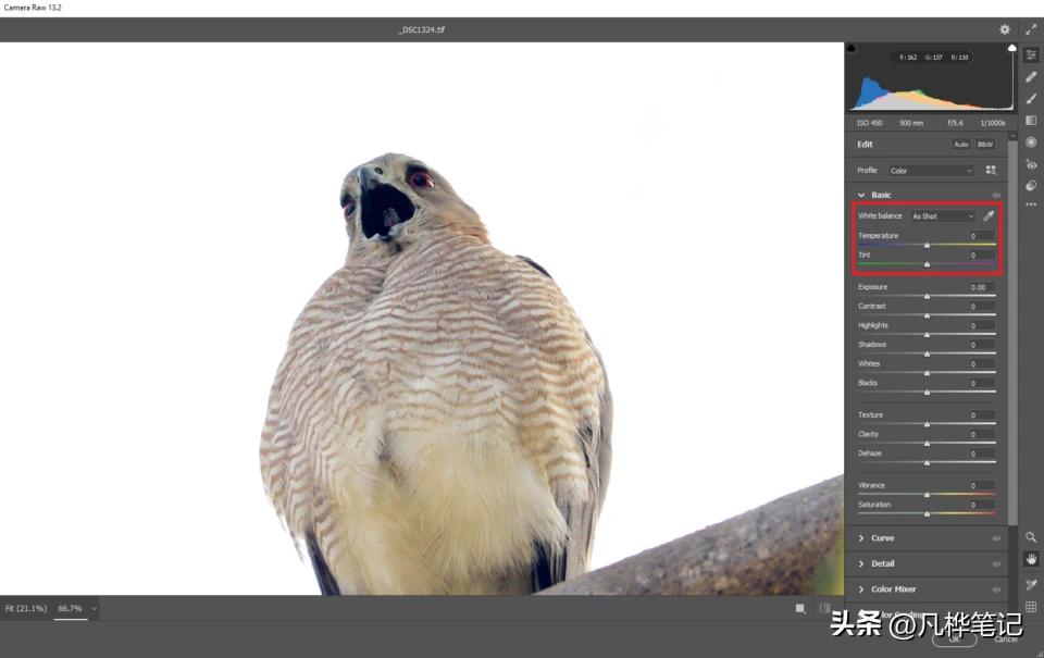 照片怎么校准皮肤白平衡,后期照片白平衡