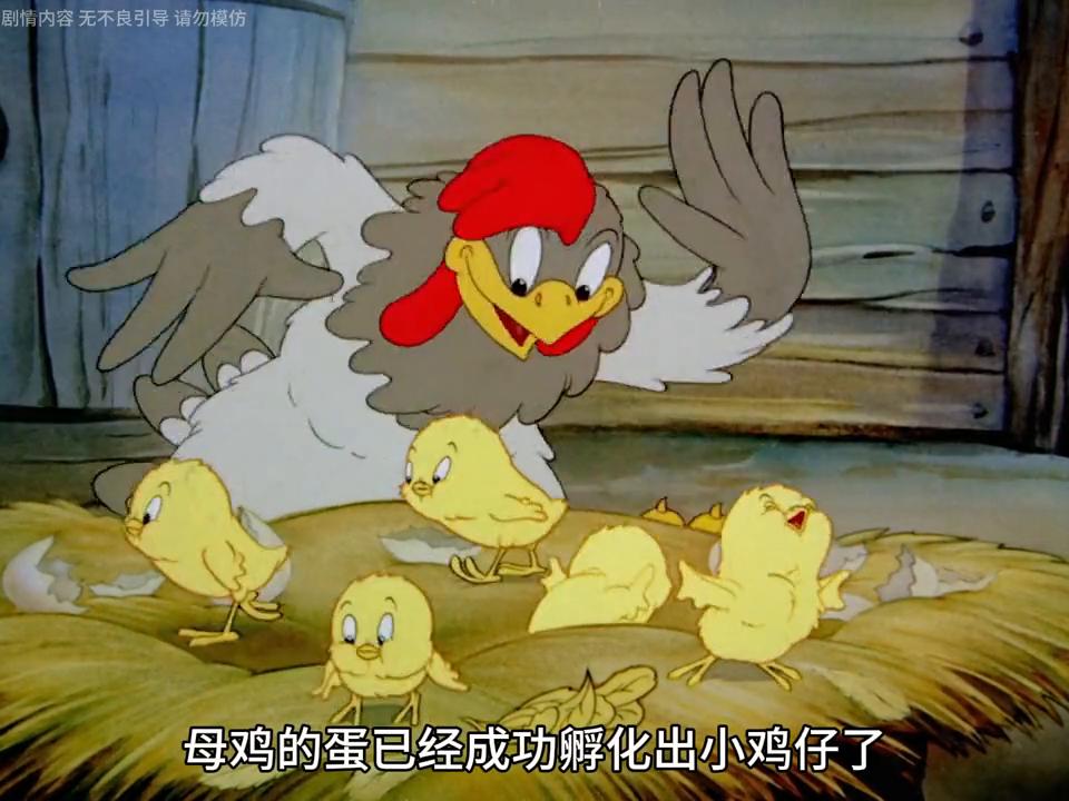 未成年的小鸡仔居然会叫妈妈？#动画