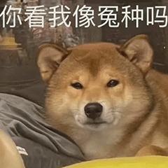 表情包你能拿我怎么样,你能拿我怎么办表情包