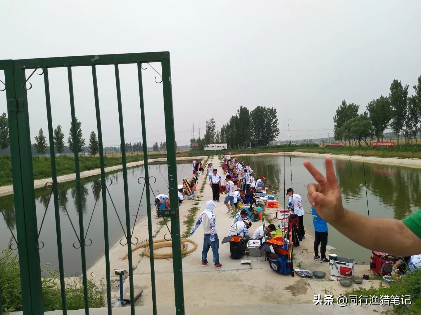 300元以内的鱼竿性价比,25块钱一把鱼竿靠谱吗