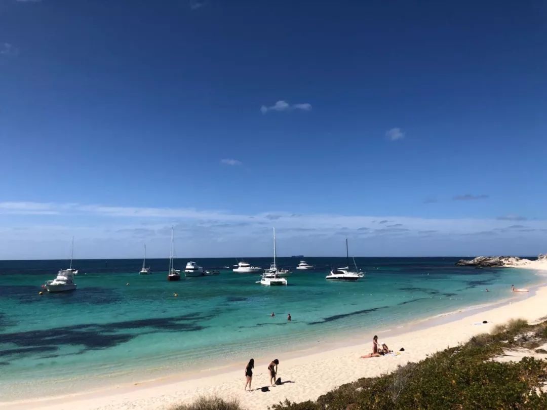 第五情书,异国恋情书