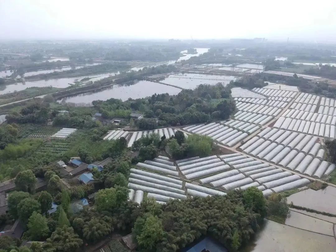 请查收！20个农业重大项目投资机会清单出炉！