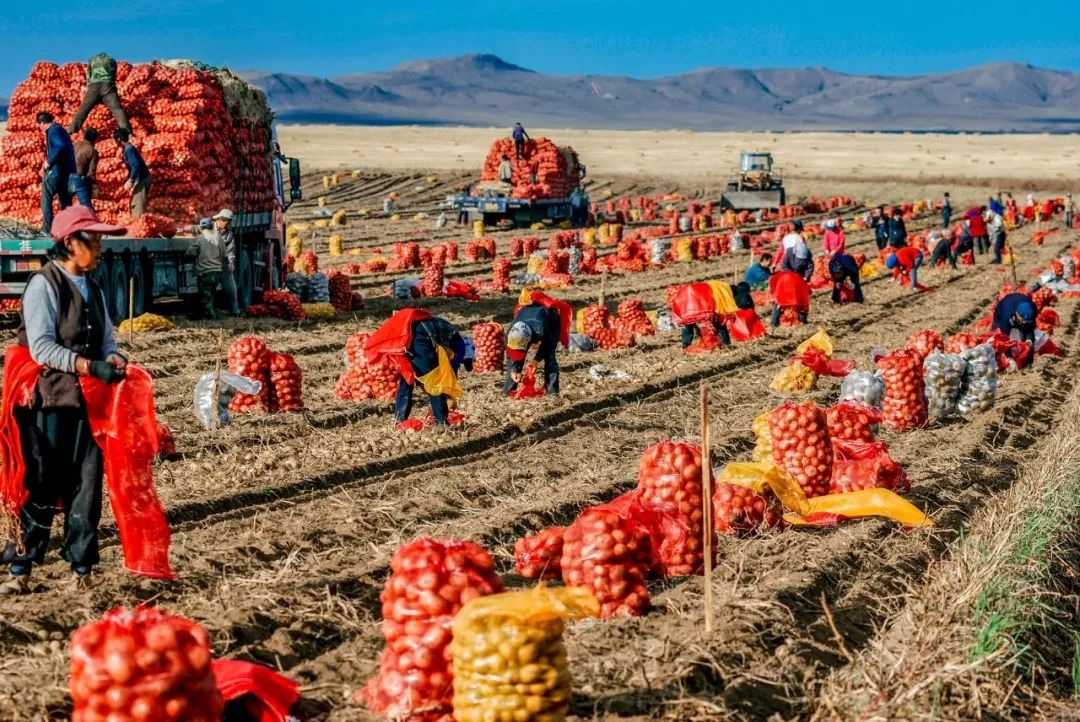 物种进化和系统升级,物种重塑