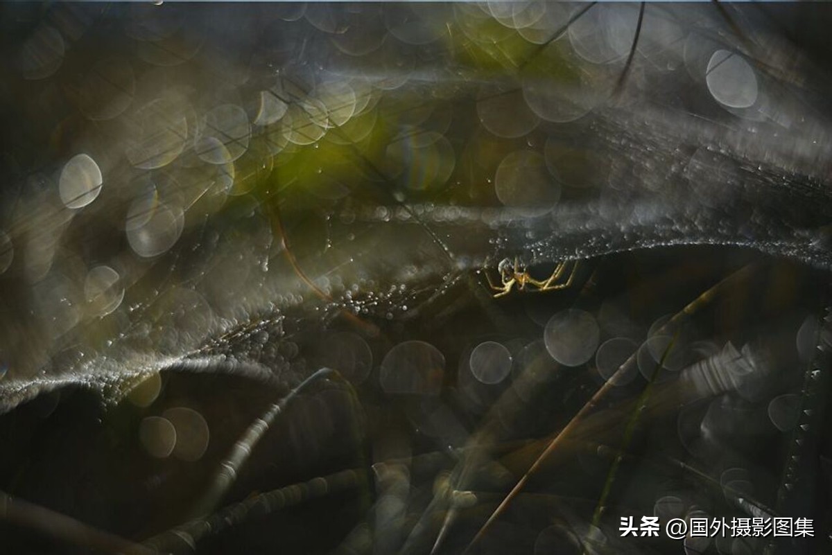 最美的景色秋天照片高清,夏天和秋天的绝美照片