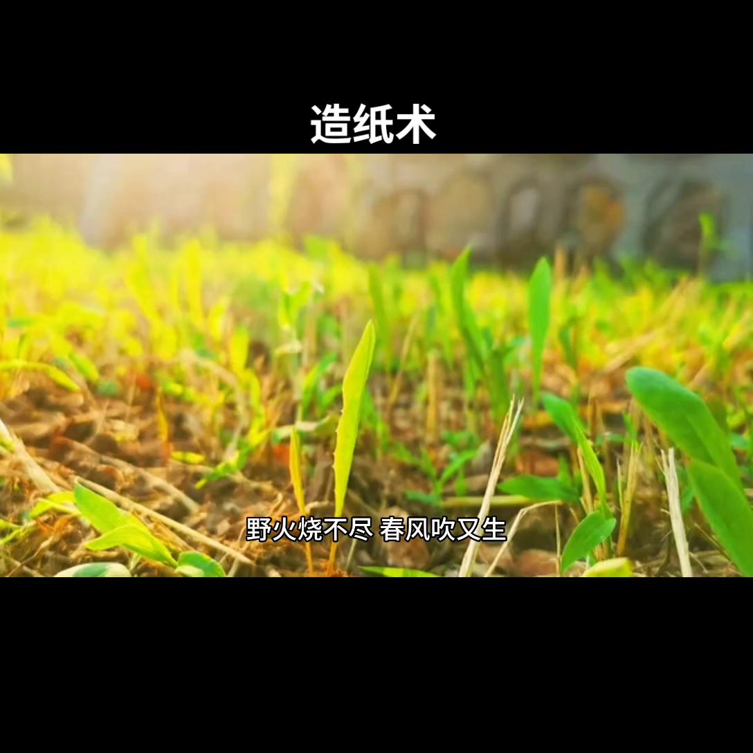 四大发明造纸术简单介绍三年级,四大发明造纸术介绍视频幼儿版