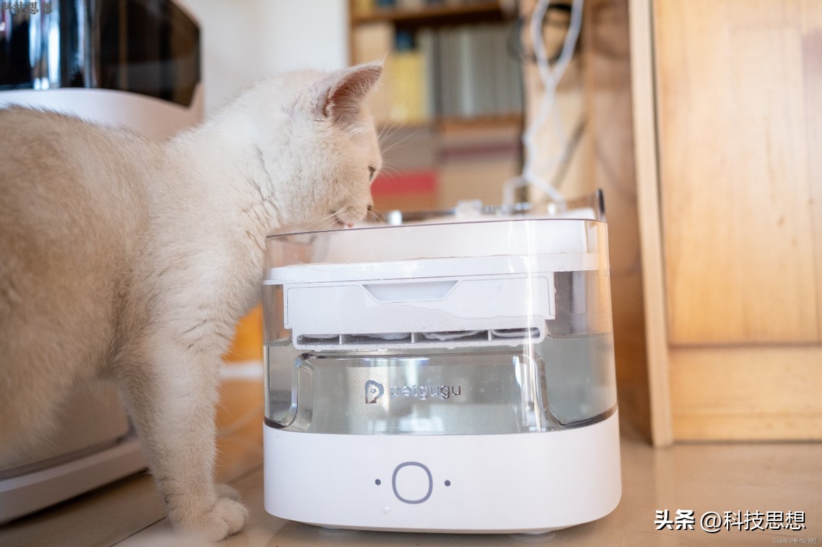 猫咪喝水神器智能不插电恒温,猫咪智能喂水器
