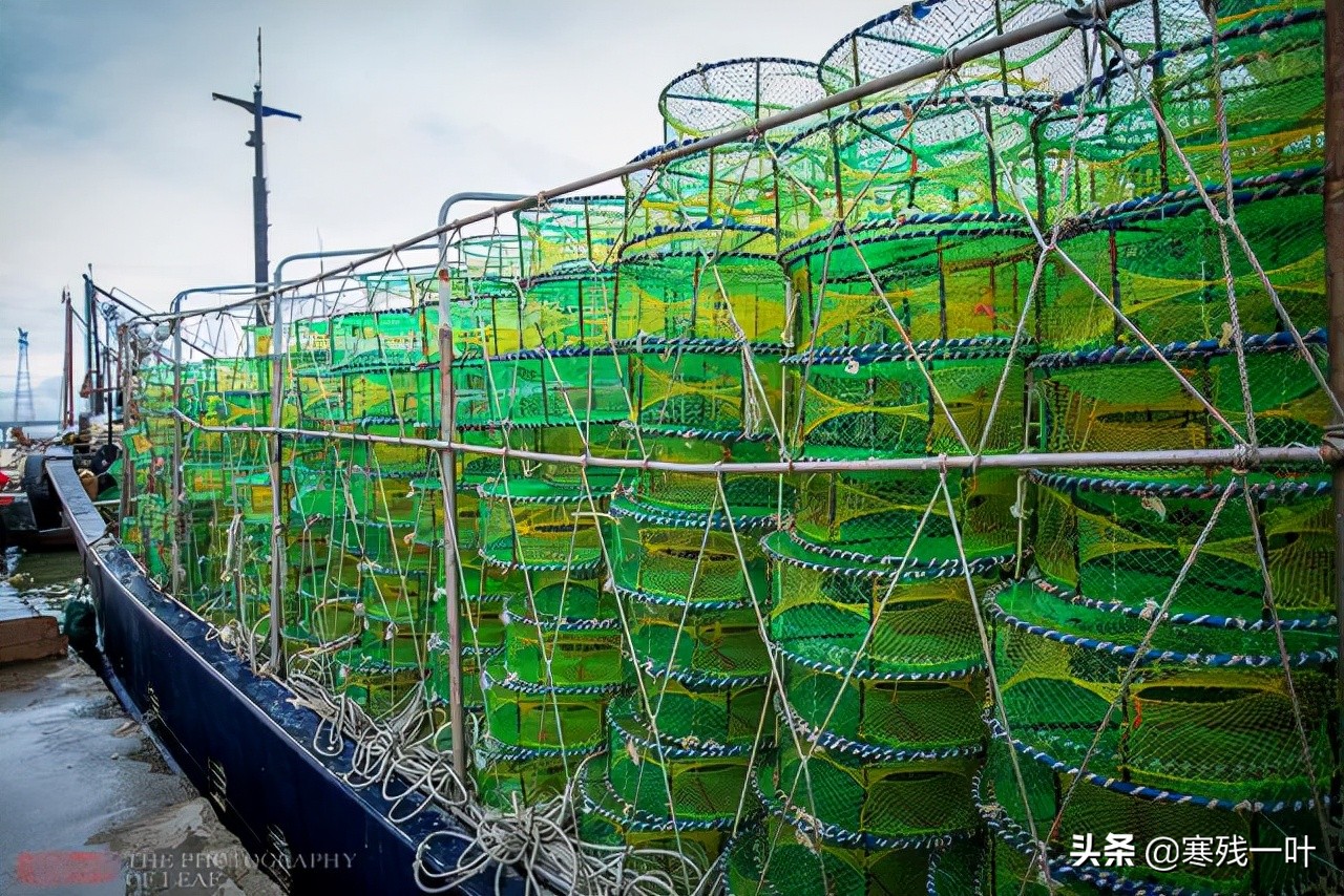 海南文昌环球码头海鲜,海南文昌渔村码头