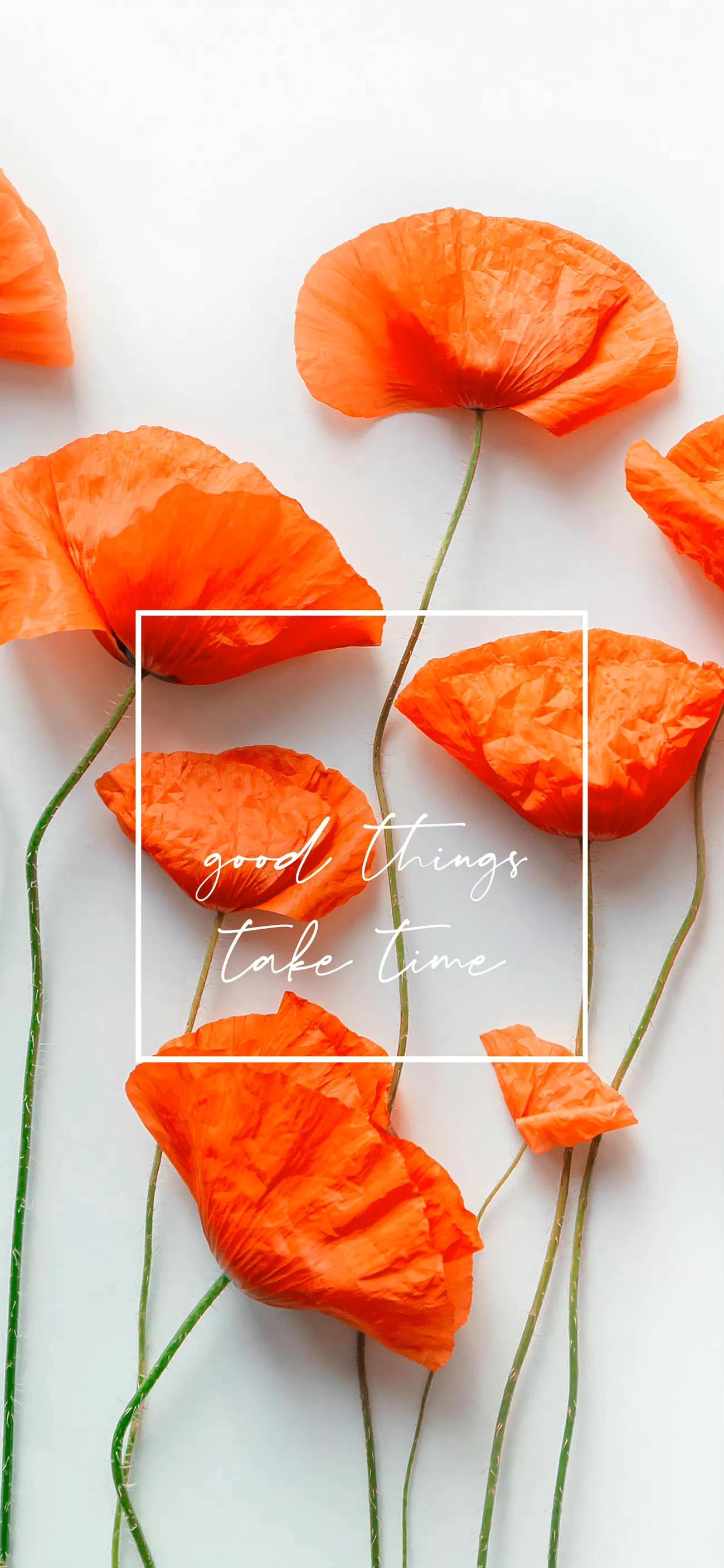 文字壁纸人生感悟,文字系列手机壁纸