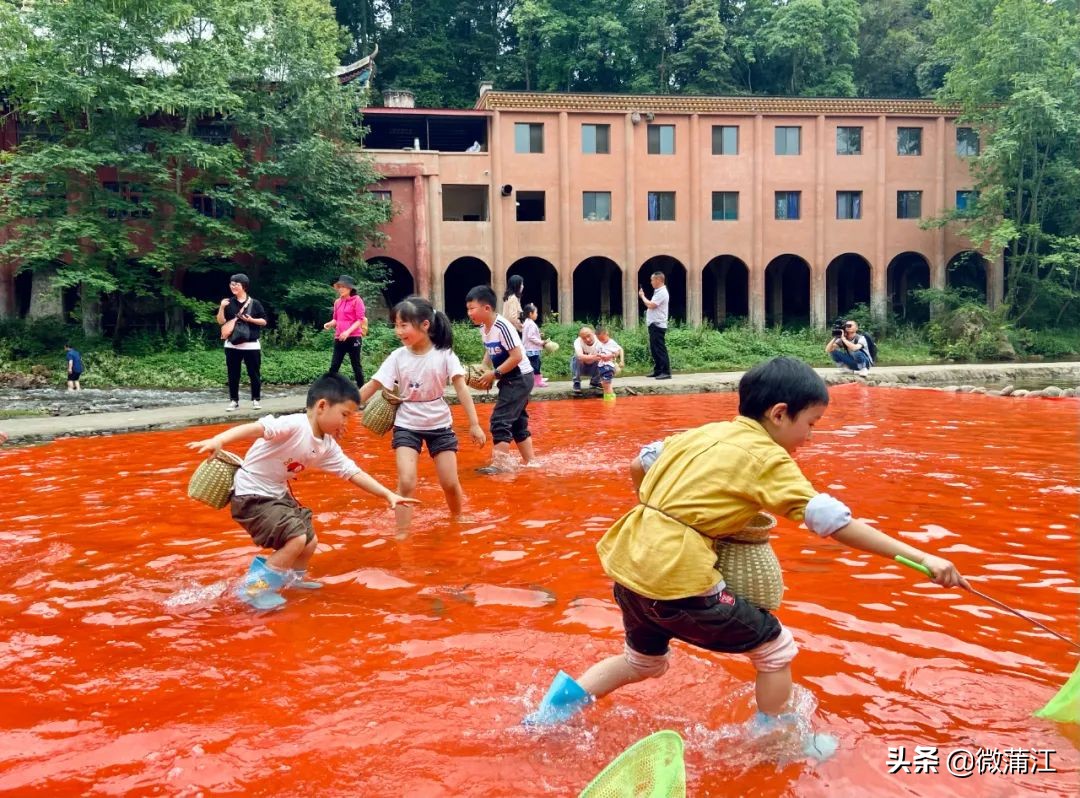 朝阳湖云端绿道,朝阳湖绿道