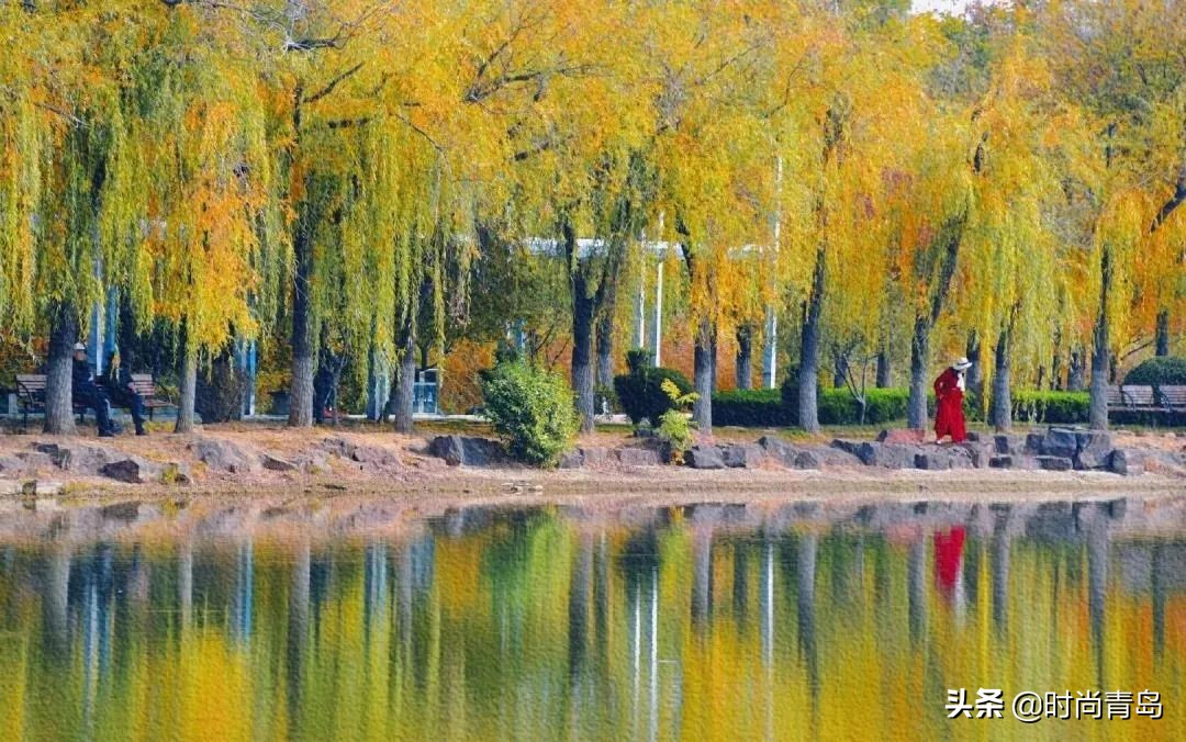 旅行日记每一帧都是热爱,这是一场最美的旅行日记