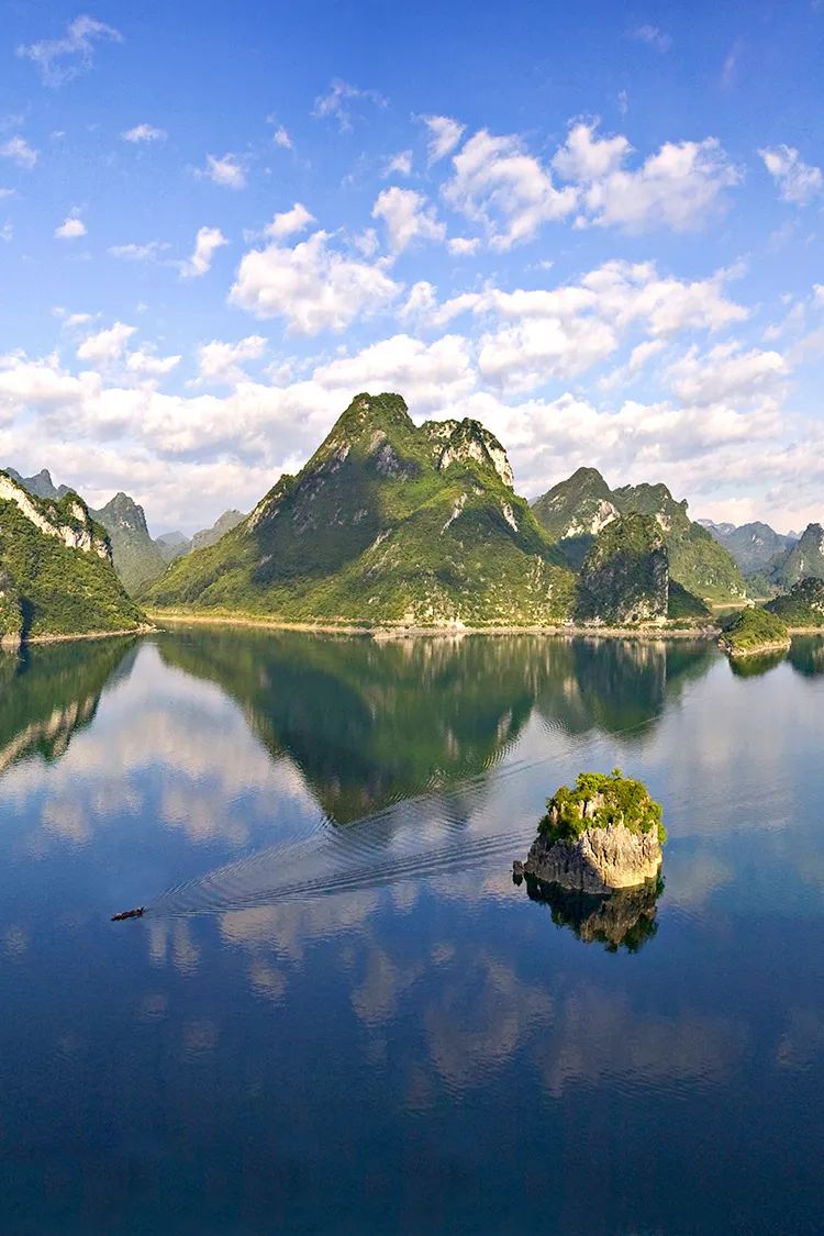 猫咪走太空步原视频最火,猫咪壁虎漫步视频