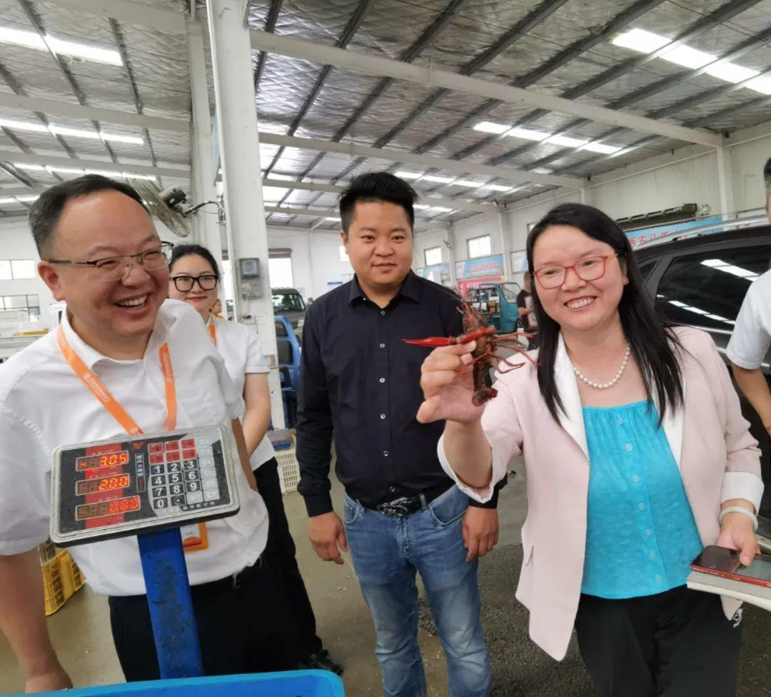 小龙虾产业成功案例,小龙虾养殖大户创业故事