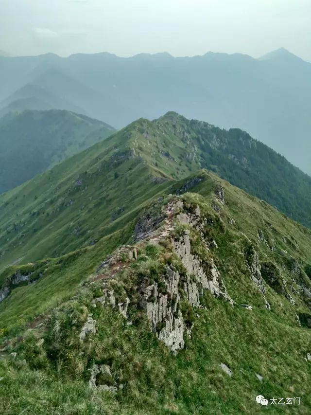 小五台山金莲花坡,小五台金莲花