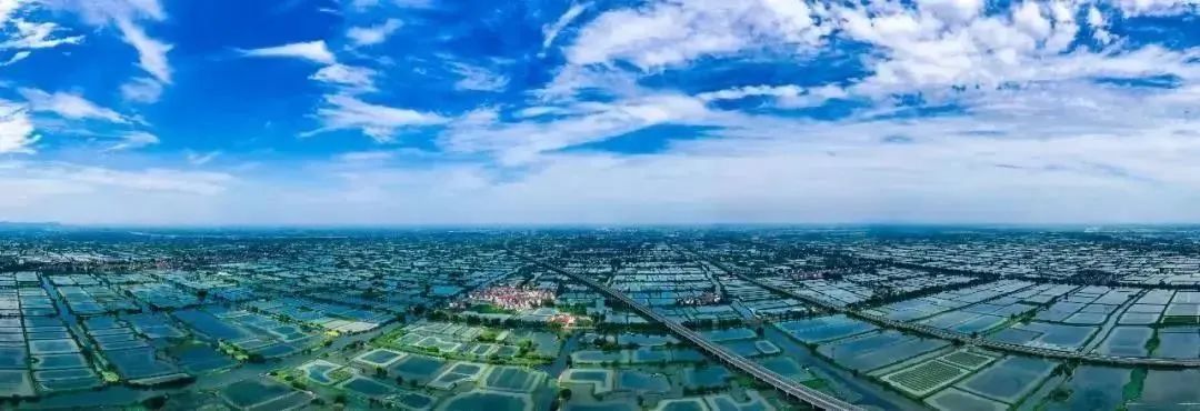 相约金秋“蟹”逅高淳|固城湖的“横行介士”来啦！