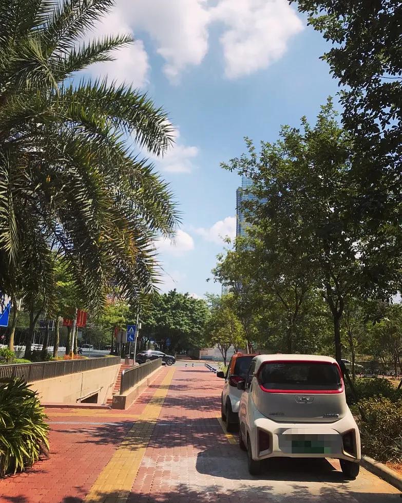 柳州最多配菜的螺蛳粉,柳州好吃又比较清淡的粉