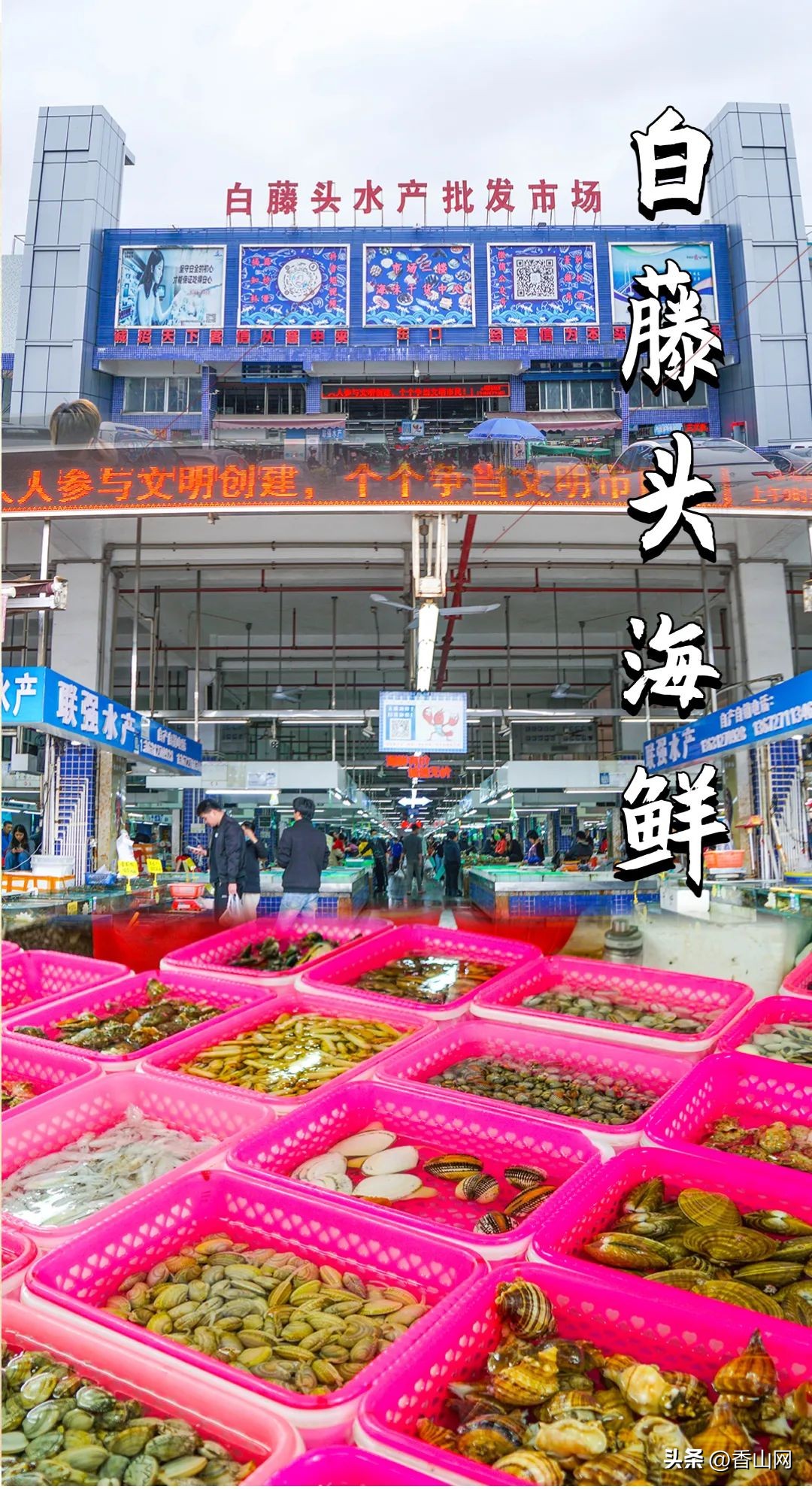 珠海专门吃海鲜地方,珠海海鲜市场吃海鲜哪里便宜