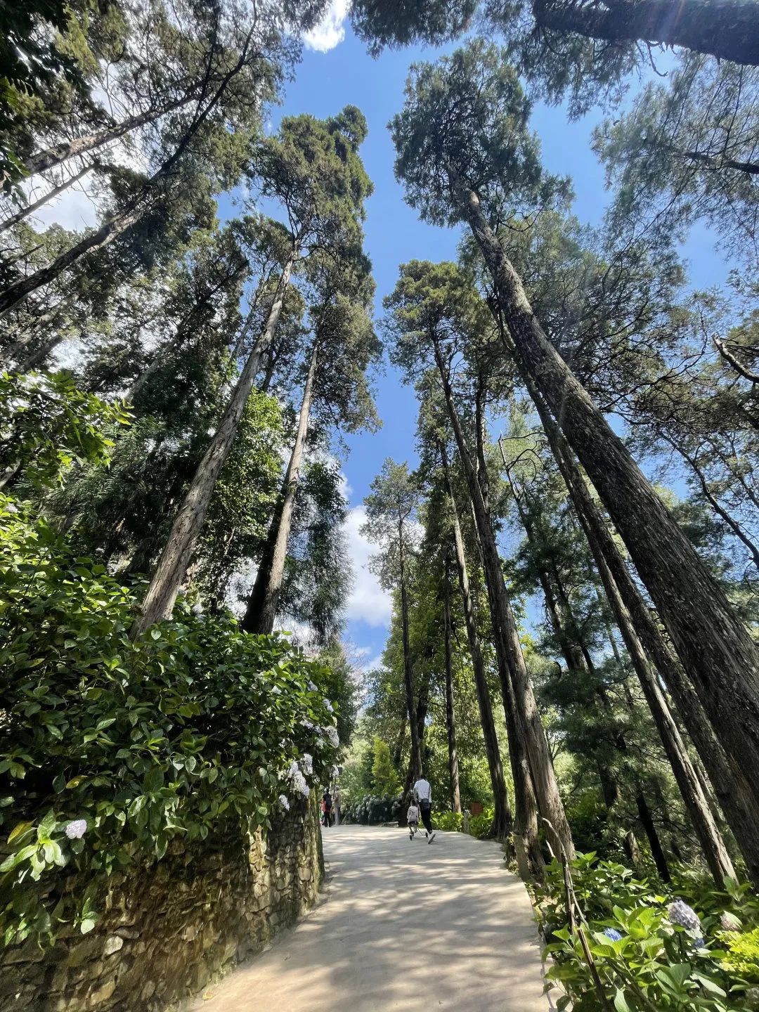 云南大理山,云南一日游日记