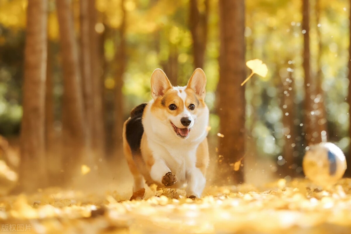 vc透露2022年的100个创业机会,2023年创业逆袭的机会