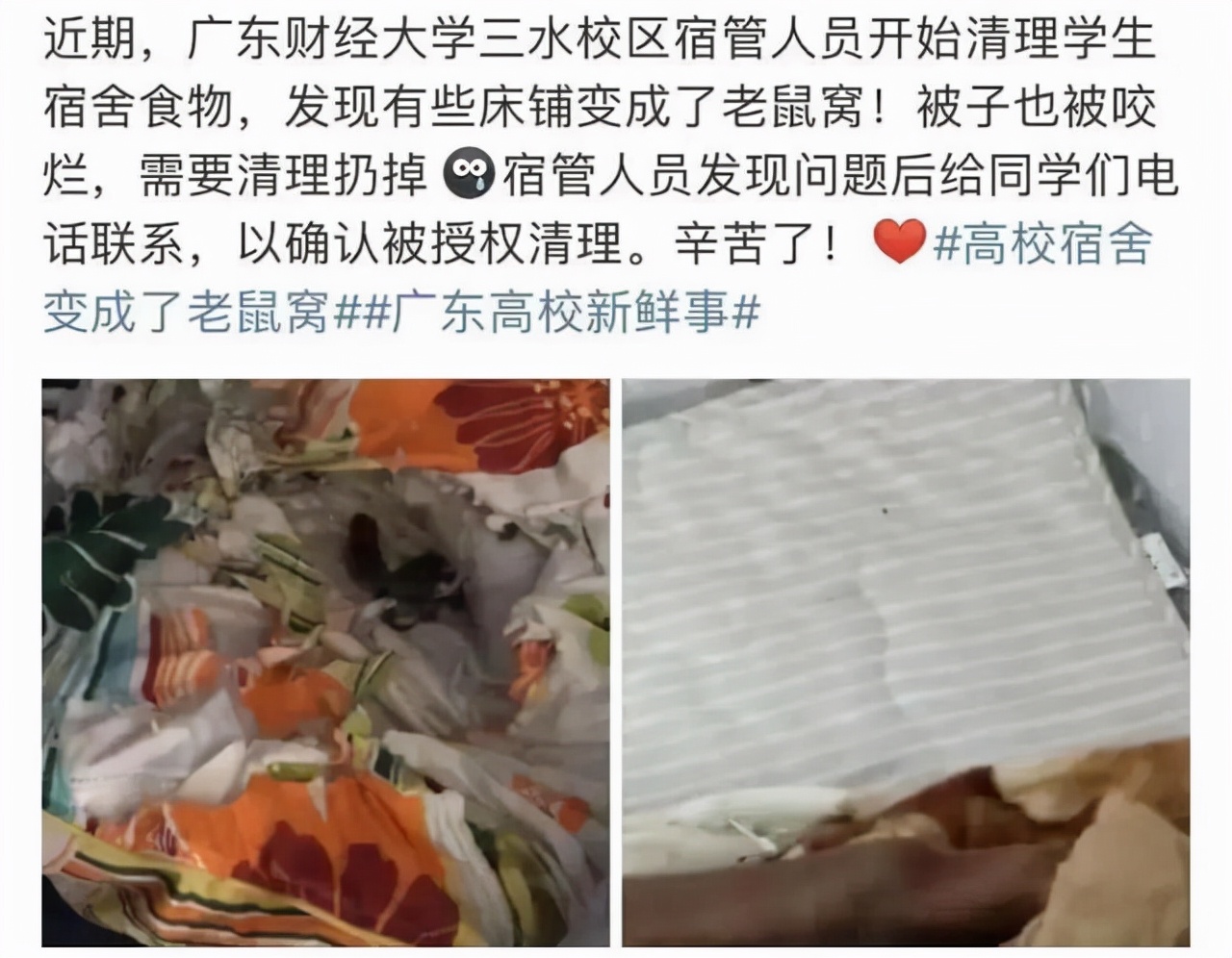 安徽一高校女生放假，寝室物品保护放大招，有人担心成小强乐园