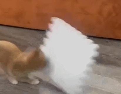 女厕的诡异之处,女厕所发现怪异男尸