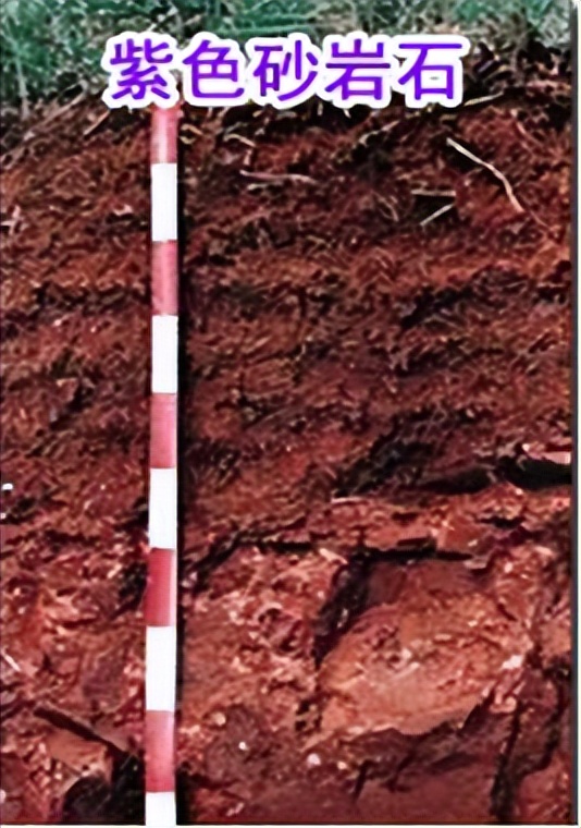 97香港回归纪念版赖茅2斤装,97赖茅香港回归纪念酒是否为假酒