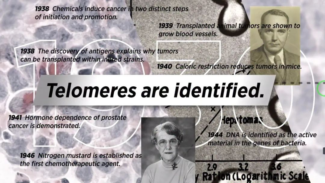 百年来癌症研究的200个里程碑！（一）