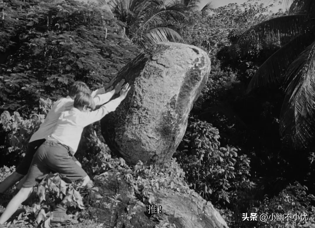 《蝇王》：小男孩的“荒岛现形记”，人性本恶的“试验场”