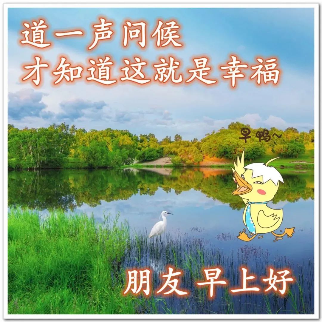 最新漂亮早上好问候图片鲜花带字,2023早上好问候语